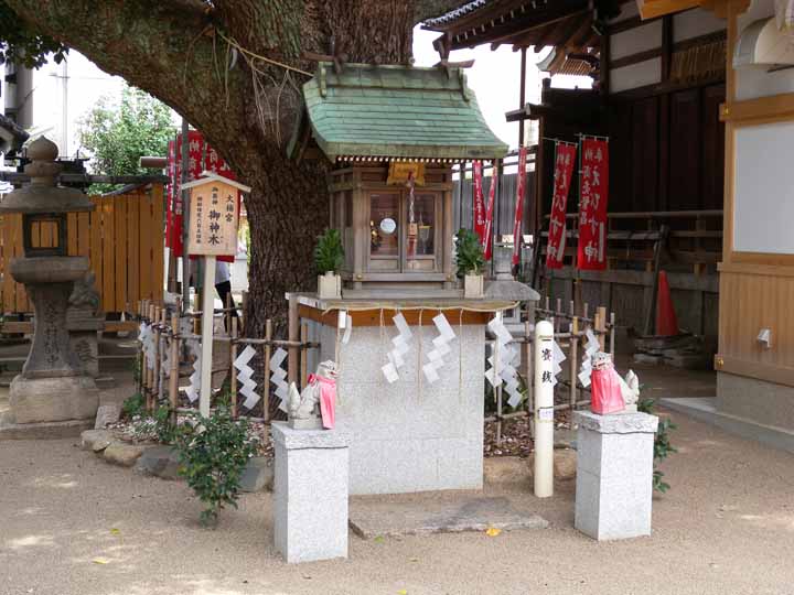 富島神社７（大楠宮）ds