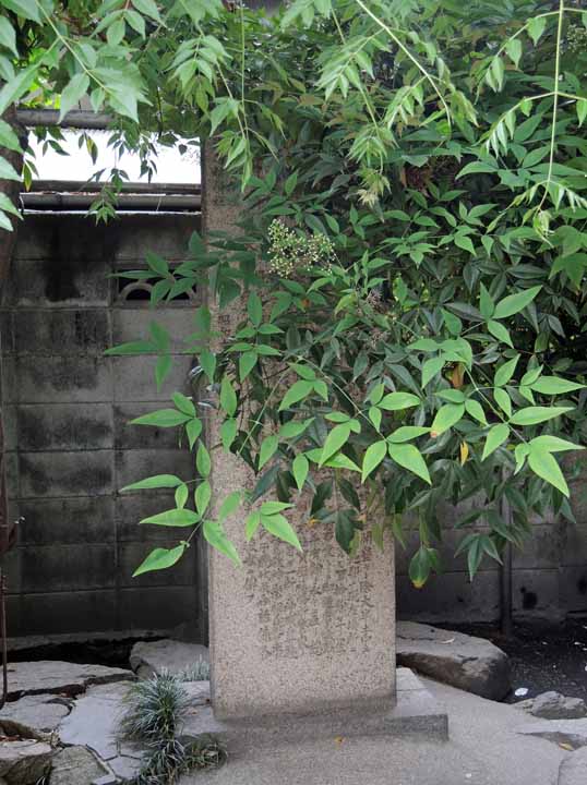 八阪神社５（記念碑）ds