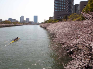 桜之宮公園４ds