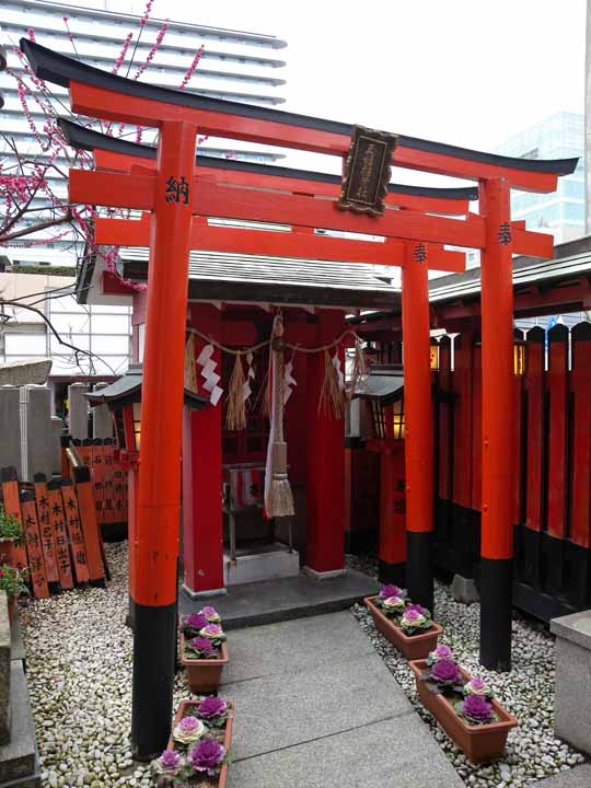 綱敷神社御旅所（玉姫稲荷神社）ds