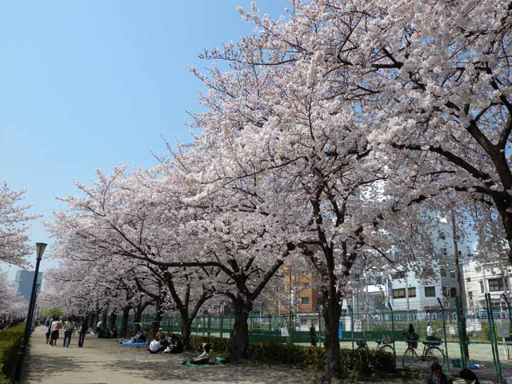 桜之宮公園３ds